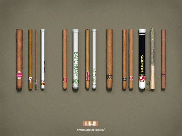 cigares