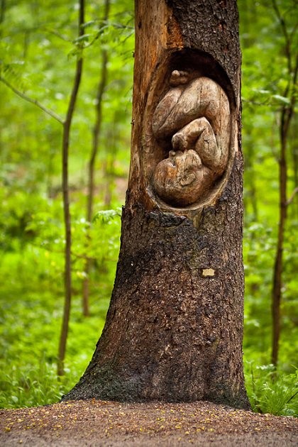 sculpture-d-un-foetus-dans-le-tronc-d-un-arbre