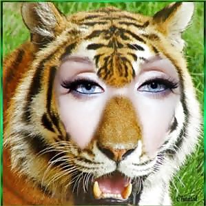 Femme-tigre