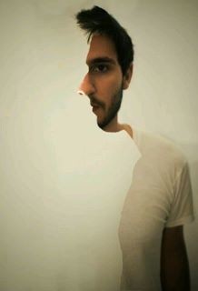 portrait illusion optique