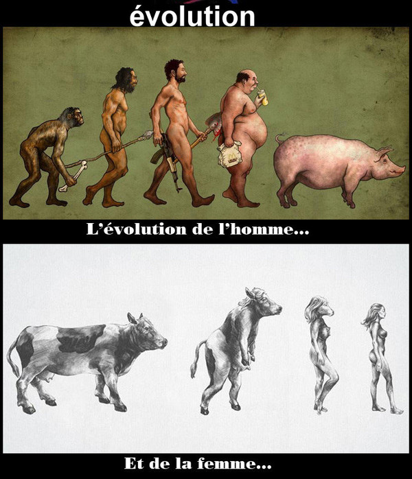 evolution_homme_femme