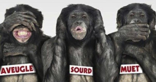 3-singes-sagesse-bonobos_1