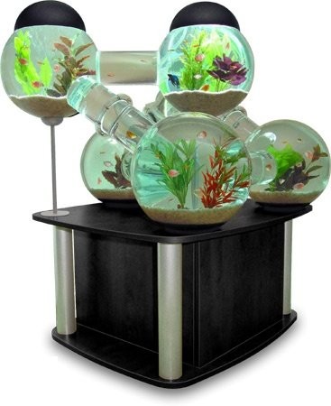 aquarium-bizarre