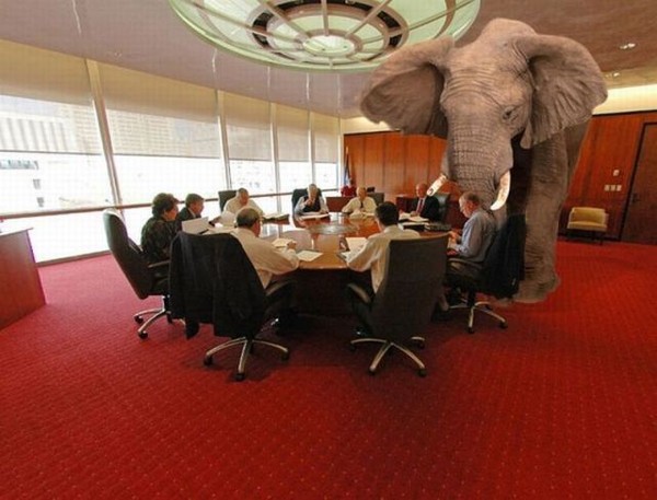 un éléphant dans un bureau
