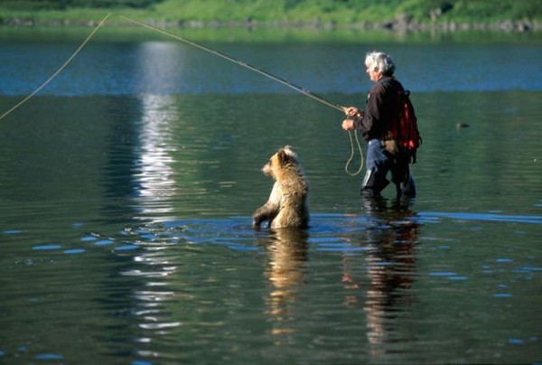 homme et ours a la pêche