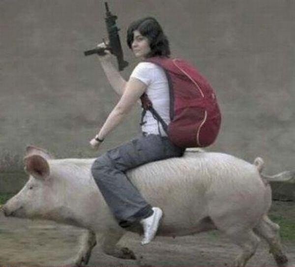 une femme sur un cochon