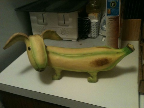 chien banane