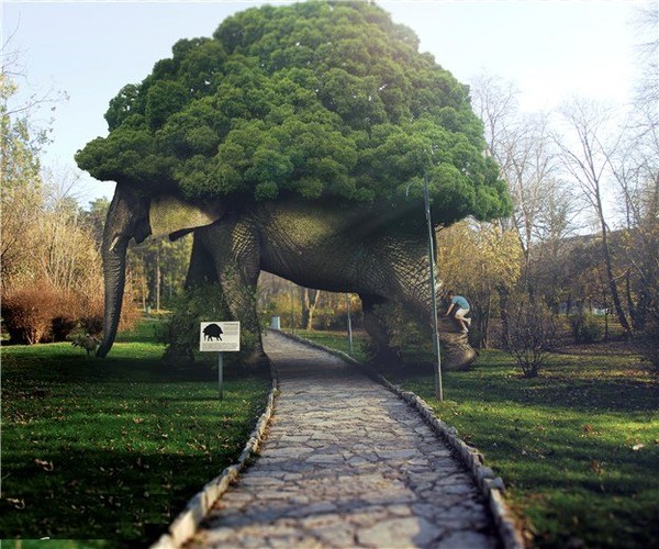 arbre éléphant