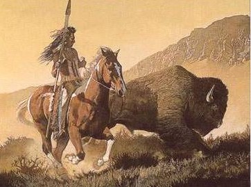 indien et bison
