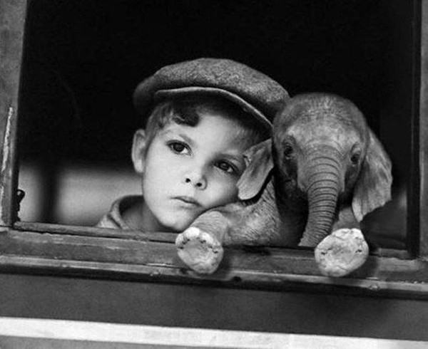 un enfant avec un éléphant