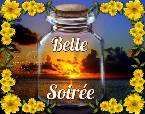 bonne-soiree_