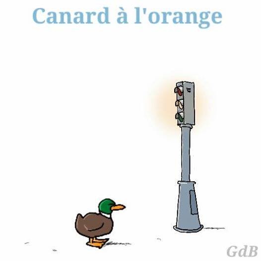 Canard-a-l-orange