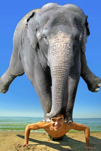 homme-elephant