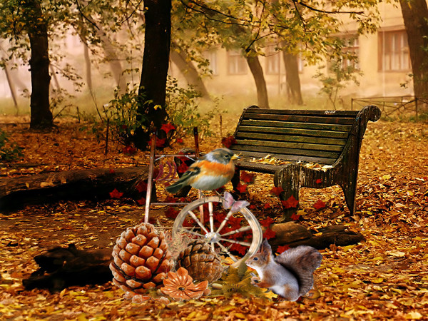 splendeurs-ephemeres de automne