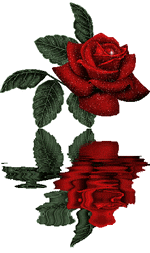 rose_eau