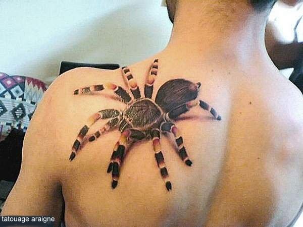 tatouage araigne