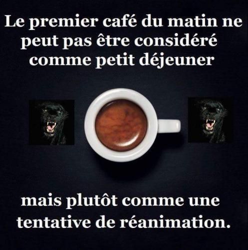 Ah-le-premier-cafe