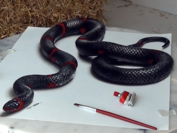 Un-serpent-plus-vrai-que-nature-l-incroyable-dessin-3D-qui-va-vous-faire-fremir--video