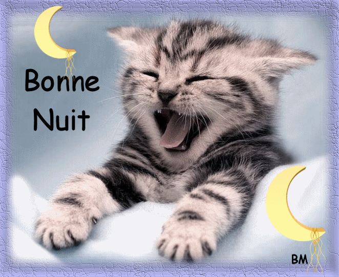 _bonne_nuit__4