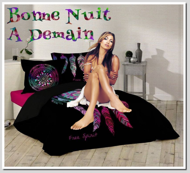 bonne_nuit_les_amis_a_demain_1