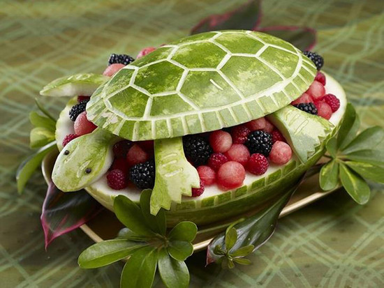 pasteque_tortue