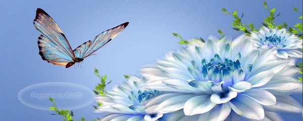 Papillon-bleu