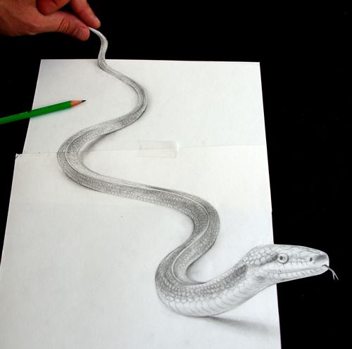 dessin_serpent_3d