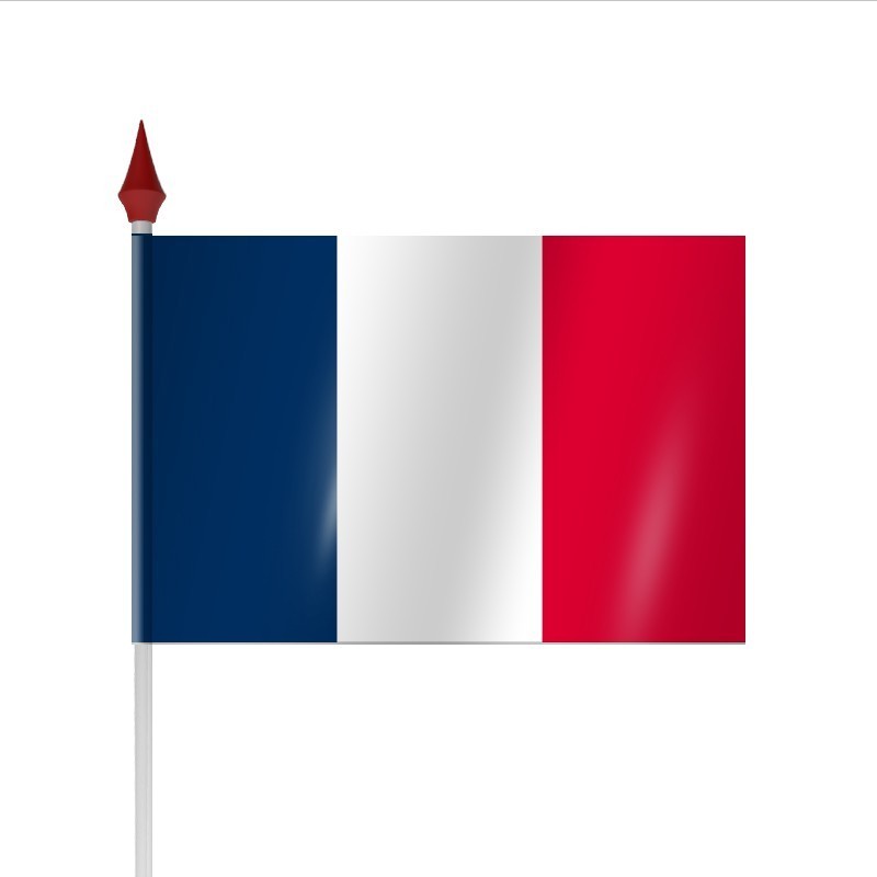 drapeau-a-agiter-pays-france-par-sachet-de-100.jpg