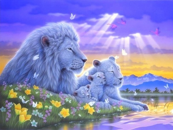 couple lion et lionne et leur bebe