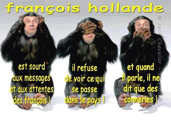 Hollande-sarkozy-meme-combat