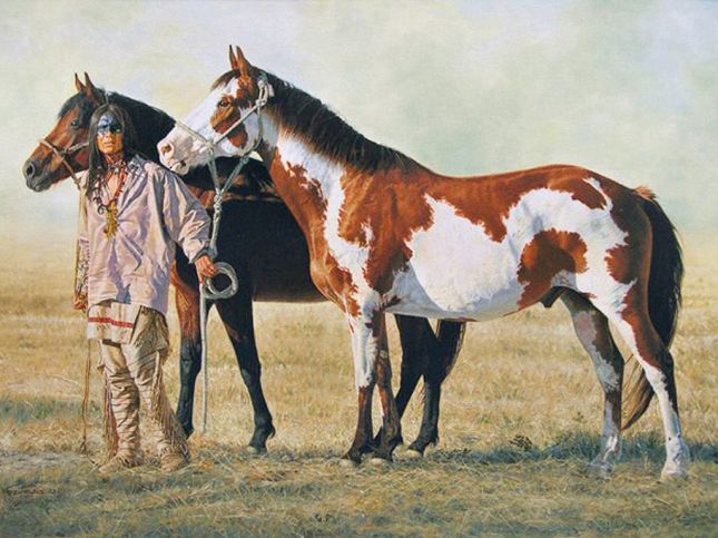 indien-et-chevaux