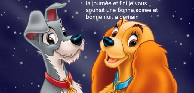 la_journee_et_fini_je_vous_souhait_une_bonne_soiree_et_bonne_nuit