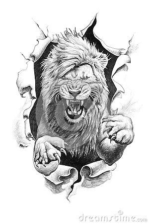 pencil-drawing-lion-leo-ripped-paper-illustration-74126923