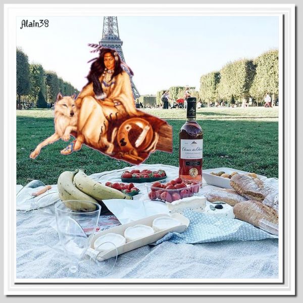 pic_niceiffel-tower-in-paris-eiffel-tower-picnic